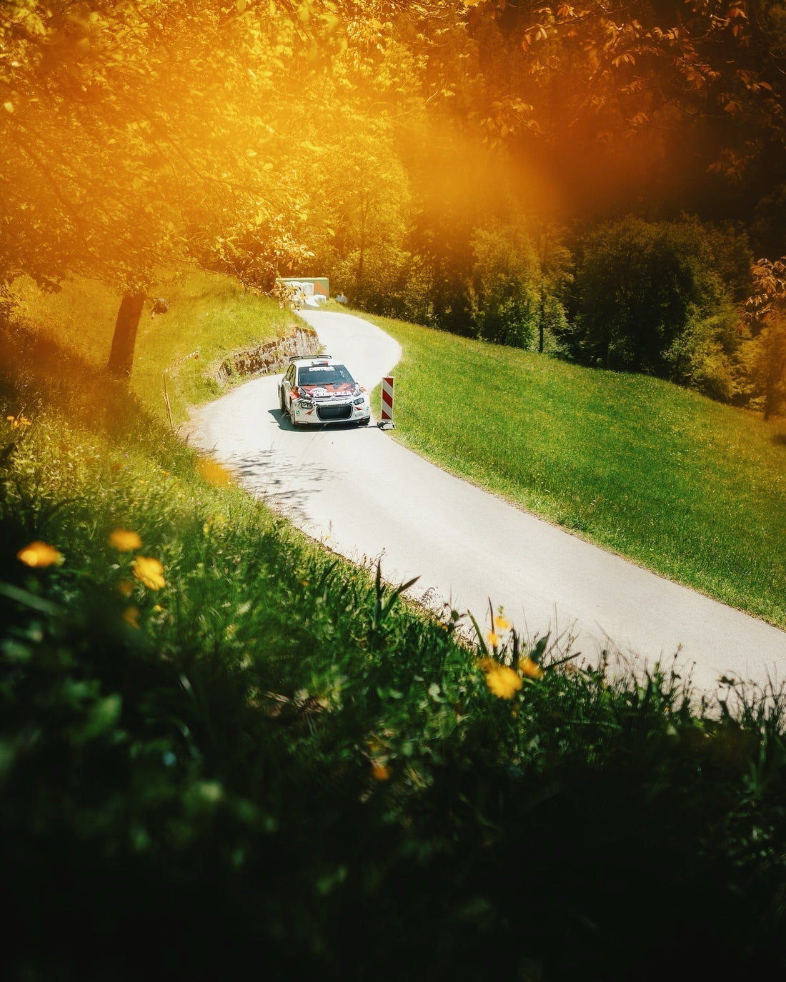 Rally Idrija 8. in 9. november 2026