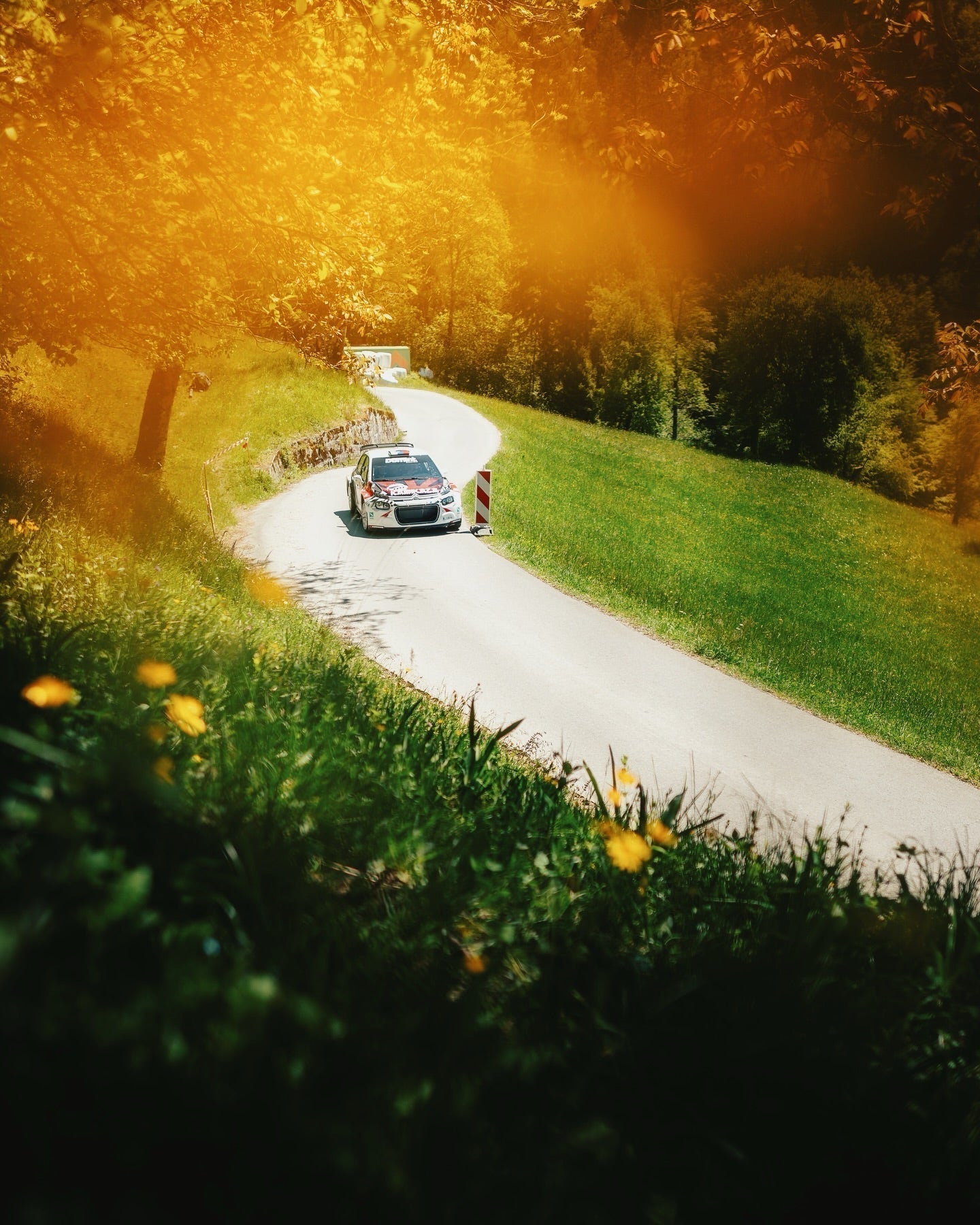 Rally Idrija 8. in 9. november 2026